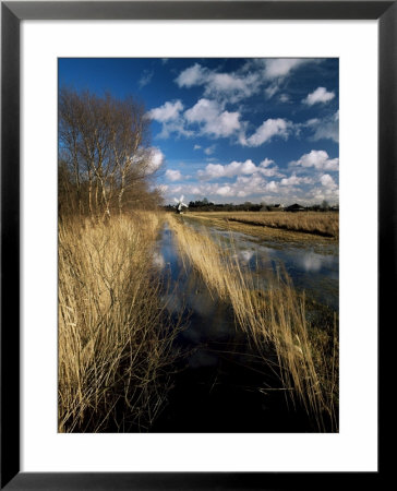 Wicken Fen, Cambridgeshire, England, United Kingdom by Lee Frost Pricing Limited Edition Print image