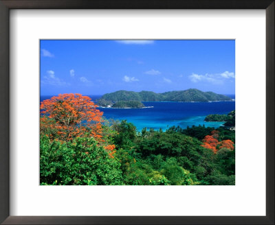 Trees With Red Blossoms And Little Tobago Island, Speyside, Trinidad & Tobago by Michael Lawrence Pricing Limited Edition Print image