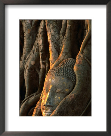 Buddha Head Inbedded In Roots At Wat Phra Mahathat, Ayuthaya, Thailand by Anders Blomqvist Pricing Limited Edition Print image