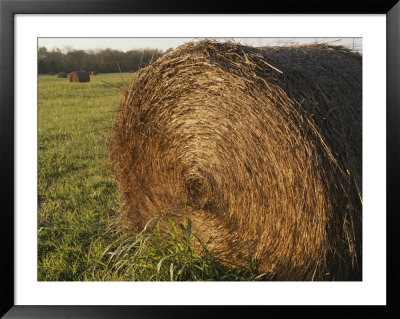 Hay Bales In Fields Near Bell Buckle, Tennessee by Stephen Alvarez Pricing Limited Edition Print image