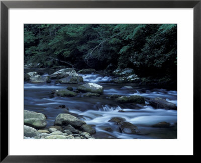 The Little River, Great Smoky Mountains National Park, Tennessee, Usa by William Sutton Pricing Limited Edition Print image