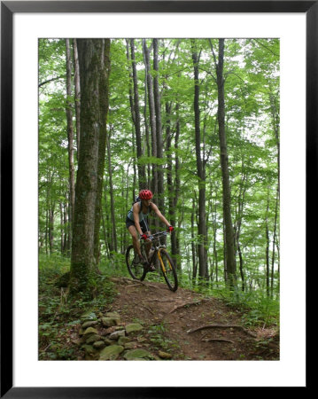 A Woman Rides A Mountain Bike On Props Run, A Single Track Trail by Skip Brown Pricing Limited Edition Print image