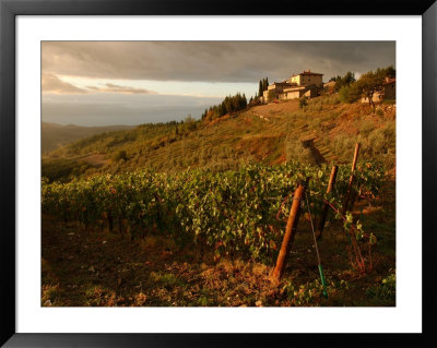Vineyards, Tuscany, Italy by Keith Levit Pricing Limited Edition Print image