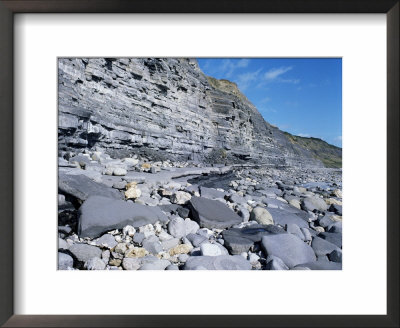 Fossil Bearing Lias Beds, Seven Rock Point, Jurassic Coast, Lyme Regis by Cyndy Black Pricing Limited Edition Print image