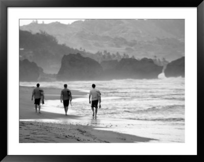Surf's Up Ii by Paul Whitfield Pricing Limited Edition Print image