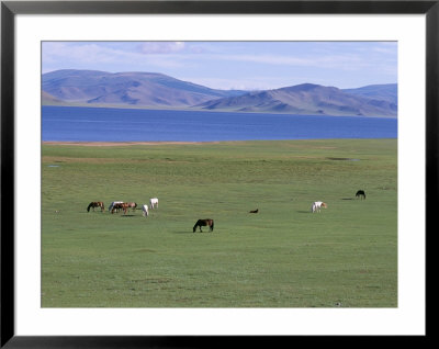 Lake Terkhiin Tsagaan Nuur, Volcanic Region Of Khorgo, Arkhangai, Mongolia, Central Asia by Bruno Morandi Pricing Limited Edition Print image