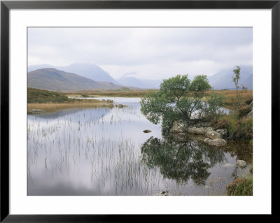 Lochan Na H-Achlaise And The Mountains Of The Black Mount, Rannoch Moor, Highland Region, Scotland by Lee Frost Pricing Limited Edition Print image
