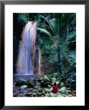 Hot Mineral Waterfall In Diamond Botanical Garden, Soufriere, St. Lucia by Jeff Greenberg Pricing Limited Edition Print image