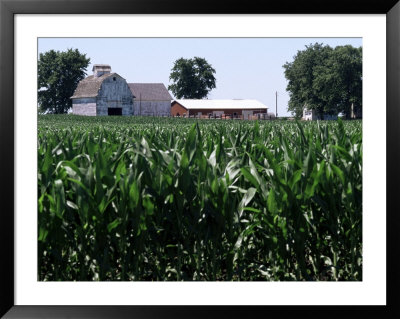 Barns On Farm, Hudson, Illinois, Midwest, Usa by Ken Gillham Pricing Limited Edition Print image