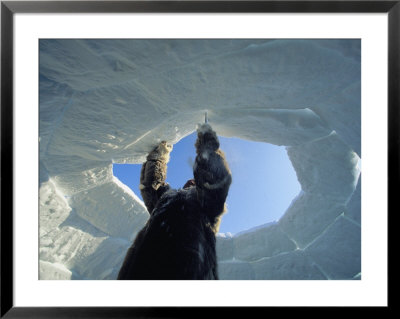 A Man Building An Igloo by Norbert Rosing Pricing Limited Edition Print image