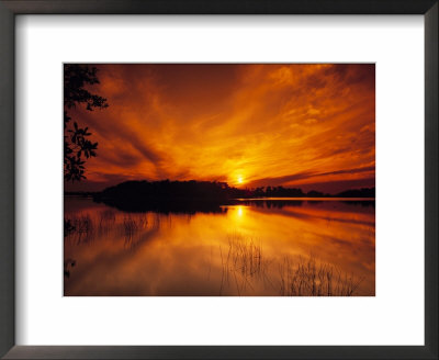 Evening In The Swampy Wilderness, Everglades National Park, Florida, Usa by Jerry Ginsberg Pricing Limited Edition Print image