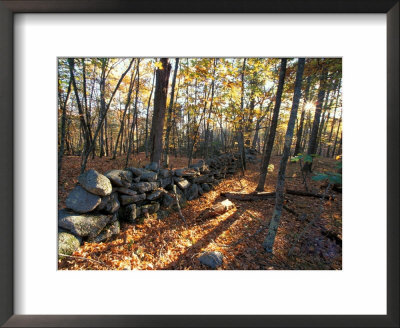 Stone Wall, Nature Conservancy Land Along Crommett Creek, New Hampshire, Usa by Jerry & Marcy Monkman Pricing Limited Edition Print image