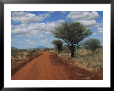 View Of A Red Earth Road In Tsavo West Park by Marc Moritsch Pricing Limited Edition Print image