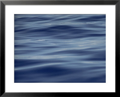 View Of Calm Blue Water Off The Coast Of The Hawaiian Islands by Bill Curtsinger Pricing Limited Edition Print image