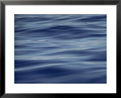 View Of Calm Blue Water Off The Coast Of The Hawaiian Islands by Bill Curtsinger Pricing Limited Edition Print image
