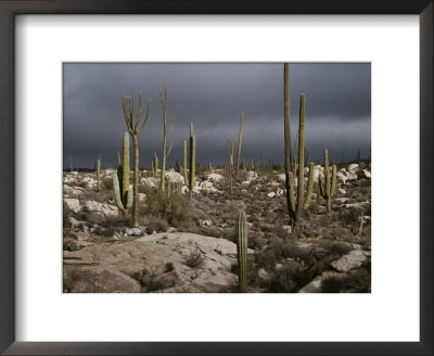 Scenic View Of The Desert Against An Ominous Gray Sky by Stephen Sharnoff Pricing Limited Edition Print image