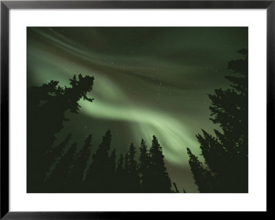 Brilliant Display Of Aurorae by Paul Nicklen Pricing Limited Edition Print image
