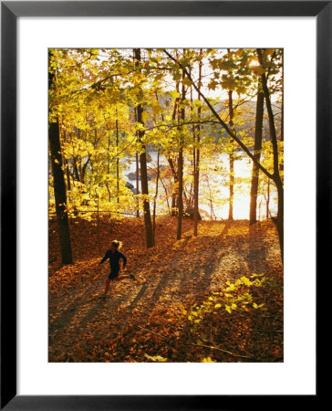 A Woman Jogs Through A Wooded Area In Low Sunlight by Skip Brown Pricing Limited Edition Print image