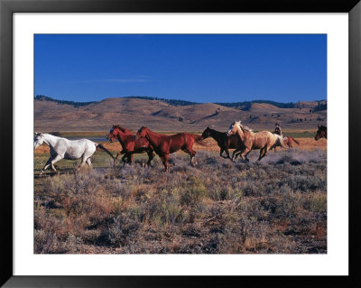 Horses With Cowboy In Field, Seneca, Or by Inga Spence Pricing Limited Edition Print image