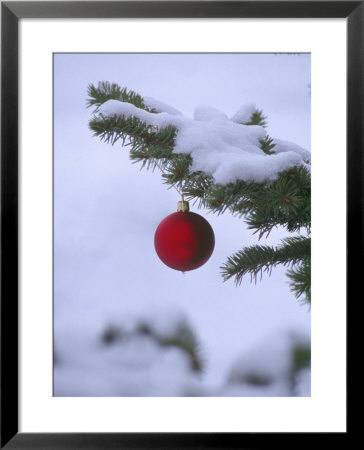 X Mas Ornament On Tree by Mike Robinson Pricing Limited Edition Print image