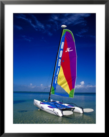 Catamarans, Florida Keys, Florida, Usa by Terry Eggers Pricing Limited Edition Print image