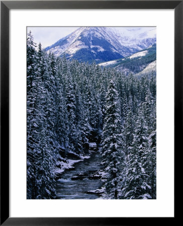 Winter Stream Near Cameron Lake, Waterton Lakes National Park, Alberta, Canada by Lawrence Worcester Pricing Limited Edition Print image