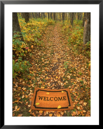 Welcome Mat On Forest Trail by Kevin Law Pricing Limited Edition Print image