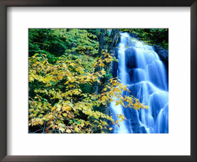 Moss Glen Falls, Green Mountain National Forest, Usa by Mark Newman Pricing Limited Edition Print image