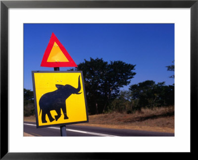 Warning Sign On Road Victoria Falls Park, Matabeleland North, Zimbabwe by John Borthwick Pricing Limited Edition Print image