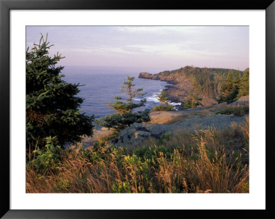 Cliffs, Maine, Usa by Jerry & Marcy Monkman Pricing Limited Edition Print image