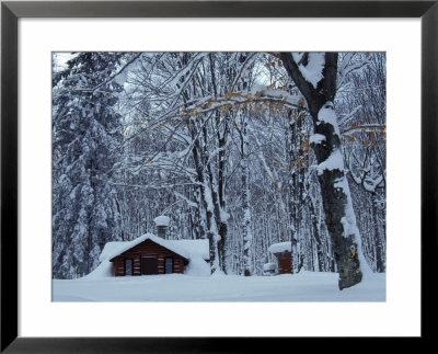 Log Cabin In Snowy Woods, Chippewa County, Michigan, Usa by Claudia Adams Pricing Limited Edition Print image