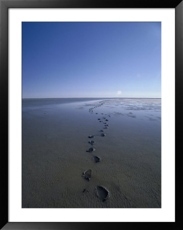 Footprints In The Mud Move Off Toward The Distant Horizon by Jason Edwards Pricing Limited Edition Print image
