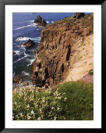 Wildflowers On The Rugged Coastline At Lands End, Land's End, United Kingdom by Glenn Beanland Pricing Limited Edition Print image