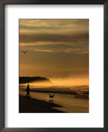 Man And His Dog Walking On 13Th Beach, Barwon Heads, Victoria, Australia by Bernard Napthine Pricing Limited Edition Print image