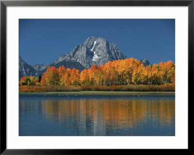 Mt. Moren, Oxbow Bend, Grand Tetons National Park, Wyoming, Usa by Dee Ann Pederson Pricing Limited Edition Print image
