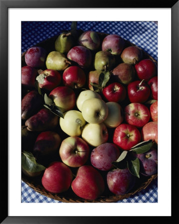 Pears And Varieties Of Apples In A Bowl At The Tilth Festival In Seattle by Sam Abell Pricing Limited Edition Print image