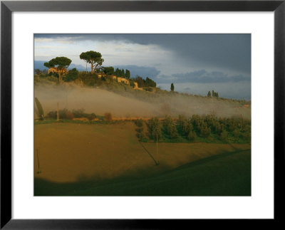 Italys Tuscany Region Produces Olives And Olive Oil That Are Prized Worldwide by Ira Block Pricing Limited Edition Print image