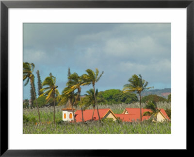 Back Country Church In Sugar Cane Field, Kauai, Hawaii, Usa by Terry Eggers Pricing Limited Edition Print image