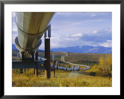 Trans Alaska Oil Pipeline Across Taiga Through Alaskan Range Carried On Insulated Ground Piles by Anthony Waltham Pricing Limited Edition Print image