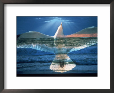 Bird Superimposed Over Ocean by Whitney & Irma Sevin Pricing Limited Edition Print image