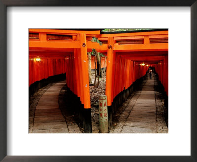 Torri Gates Lining Mountain Pathways At Fushimi-Inari, Kyoto, Japan by Frank Carter Pricing Limited Edition Print image