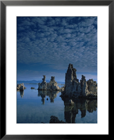 Tofas At Mono Lake, California by Lynn Eodice Pricing Limited Edition Print image