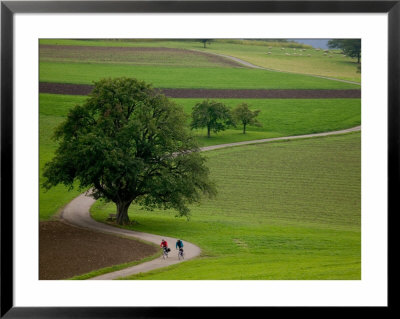 Bicycling In Basel Land, Jura Mountains, Switzerland by David Barnes Pricing Limited Edition Print image