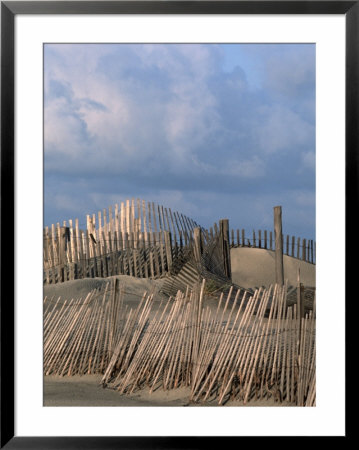 Weathered Fencing, Tybee Island, Georgia, Usa by Joanne Wells Pricing Limited Edition Print image
