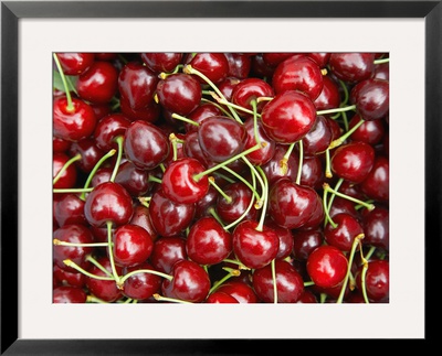 Cherries, Ripponvale, Near Cromwell, Central Otago, South Island, New Zealand by David Wall Pricing Limited Edition Print image