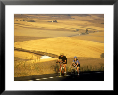 Road Cyclists Biking Through Wheat Harvest, Near Pullman, Washington, Usa by Chuck Haney Pricing Limited Edition Print image