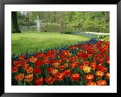 Keukenhof Gardens, Keukenhof, Netherlands by Chris Kober Pricing Limited Edition Print image