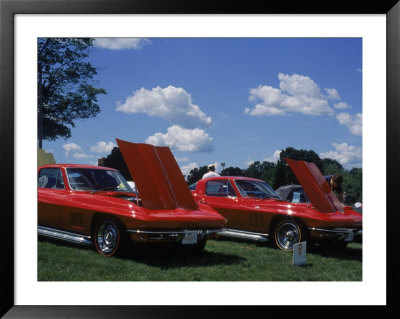Classic Corvettes Car Show, Southboro, Ma by Rick Berkowitz Pricing Limited Edition Print image