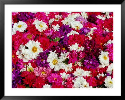 Flowers In The Devarajah Market, Mysore, Karnataka, India by Greg Elms Pricing Limited Edition Print image