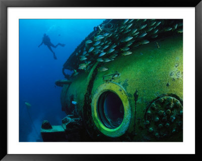 School Of Fish And A Diver Swim Around The Research Vessel Aquarius by Brian J. Skerry Pricing Limited Edition Print image
